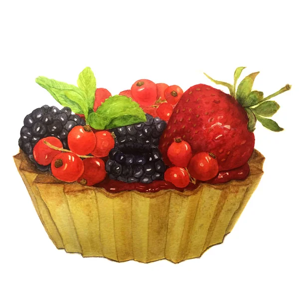 Akvarell torta bogyók: piros ribiszke, szamóca, szeder és a menta. Botanikai illusztráció. A design, a nyomtatványok, a háttér és a textíliák. — Stock Fotó