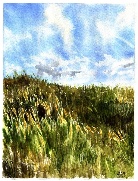 Paysage de prairie aquarelle. Illustration de la nature pour design ou fond — Photo