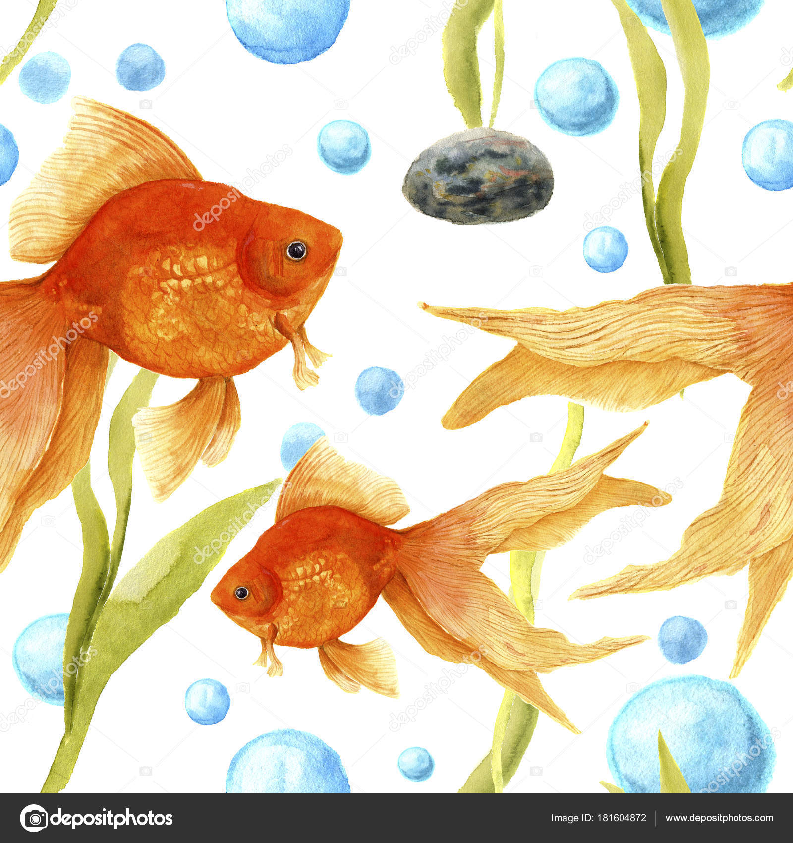 680+ Aquarium Design Goldfish HD Terbaru