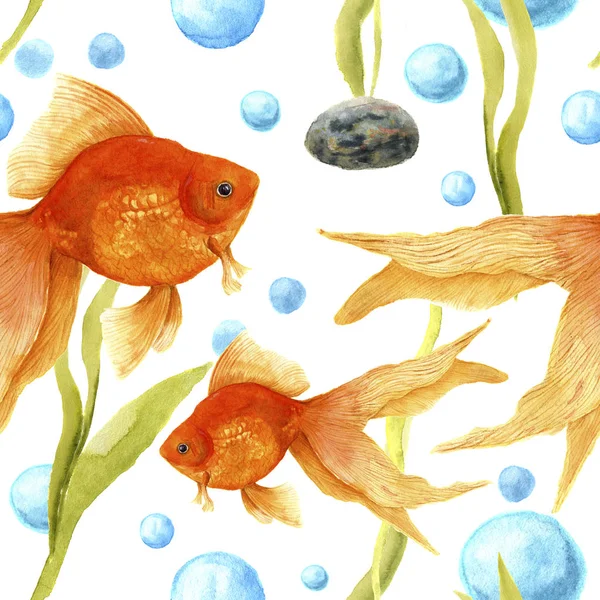 Акварель с аквариумом. Золотая рыбка, камень, водоросли и пузырьки воздуха. Художественная ручная иллюстрация. Для дизайна, текстиля, печати . — стоковое фото