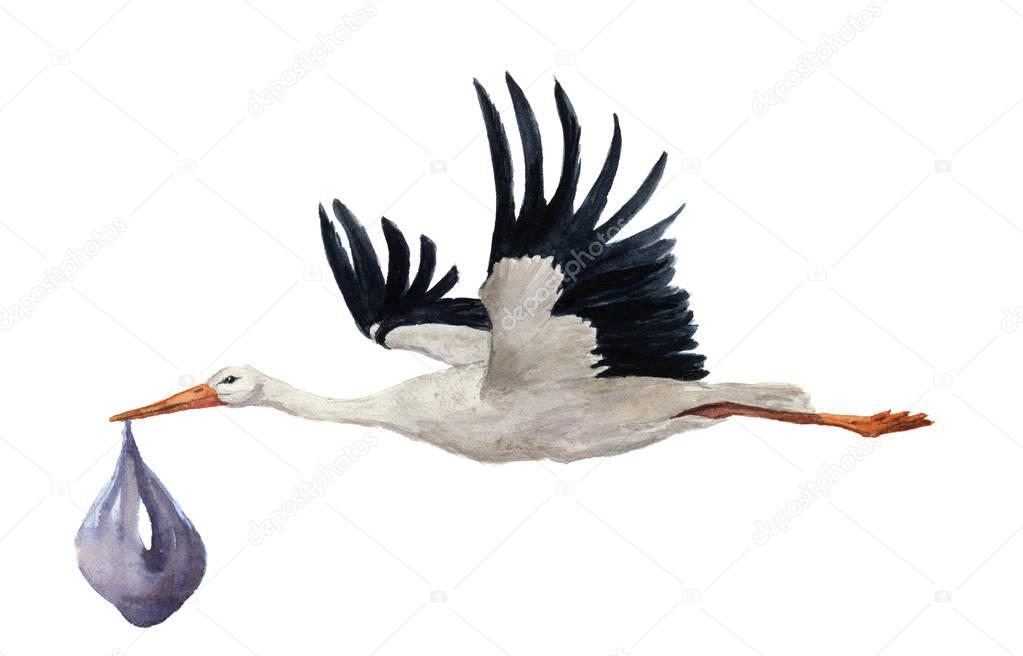 Watercolor hand painted flying white stork with boy baby. Hand painted ciconia bird illustration isolated on white background. For design, prints or background