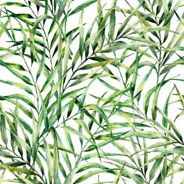 Muhteşem palmiye ağacı ile suluboya desen bırakır. El egzotik yeşillik şube boyalı. Botanik illüstrasyon. Tasarım, yazdırma veya arka plan için.