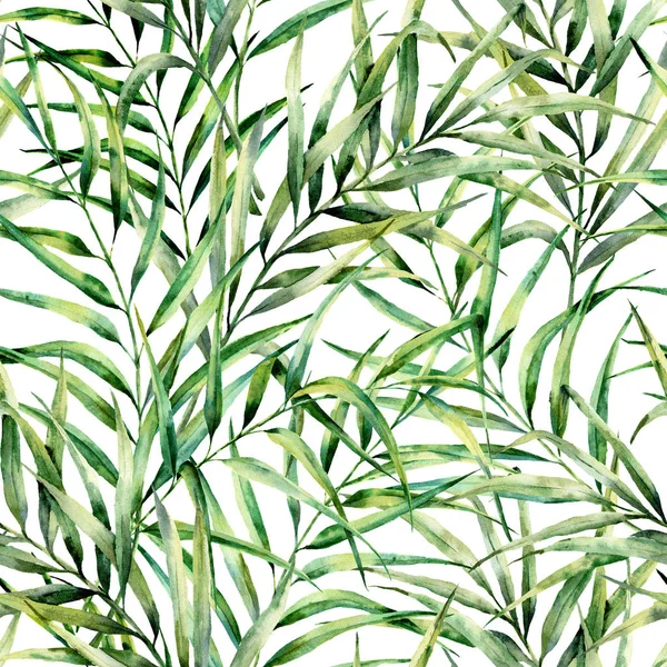 아름 다운 야자수와 수채화 패턴 단풍. 손으로 그린 이국적인 녹지 지점. 식물 그림입니다. 디자인, 인쇄 또는 배경. — 스톡 사진