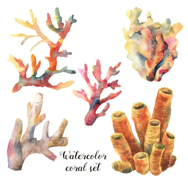 Set de acuarelă cu corali. Pictate manual ramuri subacvatice izolate pe fundal alb. Ilustrație tropicală a vieții marine. Pentru design, imprimare sau fundal — Fotografie, imagine de stoc