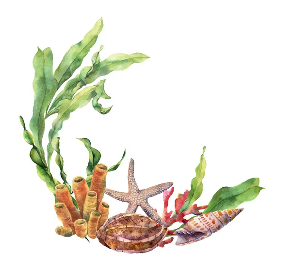 Akvarelu námořní hranice s korálovým útesem. Ručně malované podvodní ilustrace s laminaria větev, hvězdice a shell izolované na bílém pozadí. Námořních ilustrace pro design. — Stock fotografie