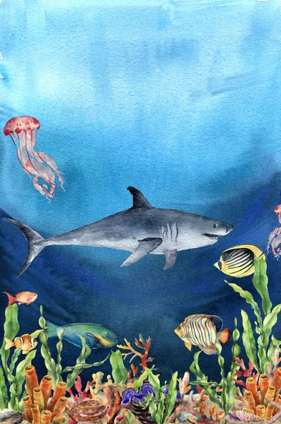 Aquarelle frontière de récif corallien et requin. Illustration sous-marine peinte à la main avec branche de laminaire, poisson, tridact, mollusque et coquille isolés sur fond océanique. Illustration nautique pour la conception . — Photo