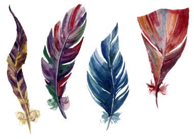 Sulu Boya parlak kuş tüyleri ayarlayın. Elle çizilmiş dekoratif boho öğeleri beyaz arka plan üzerinde izole. Gökkuşağı tasarım nesneleri tasarım veya Yazdır. Vintage illüstrasyon