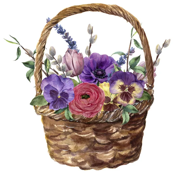 有花的水彩篮子。手绘郁金香、紫罗兰、海葵、石龙芮、柳树、薰衣草和树枝, 叶子被白色背景所隔离。用于设计、打印或背景. — 图库照片