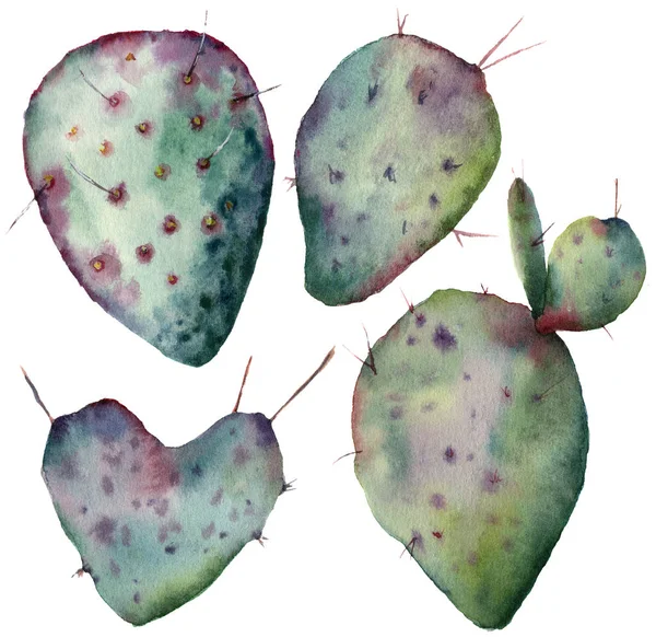 Conjunto de cactus acuarela. Opuntia pintada a mano aislada sobre fondo blanco. Ilustración para diseño, impresión, tela o fondo . — Foto de Stock