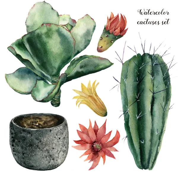 Watercolor cactus and flowerpot set. Hand painted cereus and echeveria with red and yellow flower isolated on white background. Illustration for design, print, fabric or background. — Stock Photo, Image