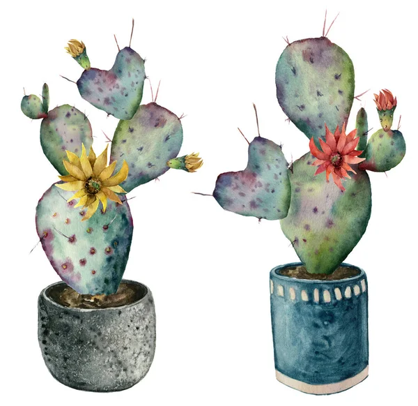 Cactus acquerello con fiori in una pentola. Opuntia dipinta a mano con fiori rossi e gialli isolati su sfondo bianco. Illustrazione per design, stampa, tessuto o sfondo . — Foto Stock