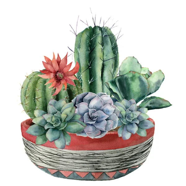 냄비에 succulent와의 수채화 선인장 핸드 페인트 cereus, echeveria, echinocactus grusonii, 빨간색과 파란색 꽃 흰색 배경에 고립. 디자인, 직물 또는 배경 그림. — 스톡 사진
