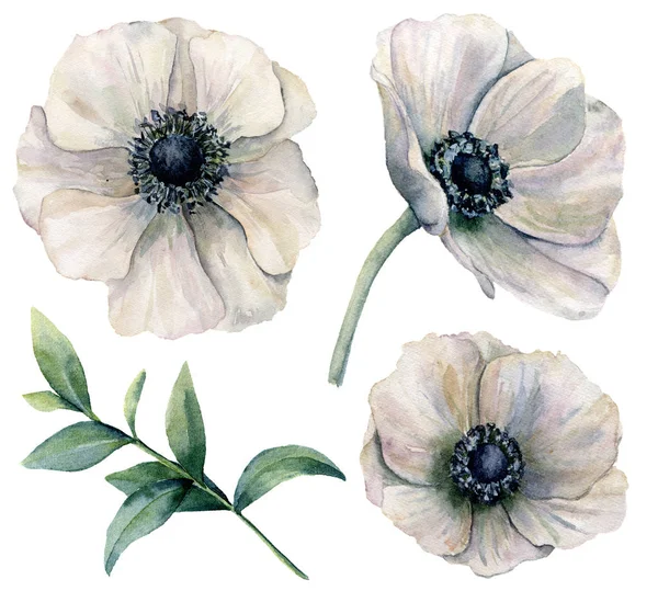 Λευκό υδρόχρωμα Ανεμώνη σύνολο. Ζωγραφισμένα στο χέρι λουλούδια με φύλλα ευκαλύπτου που απομονώνονται σε λευκό φόντο. Φυσική απεικόνιση για το σχεδιασμό, εκτύπωση, ύφασμα ή φόντο. — Φωτογραφία Αρχείου