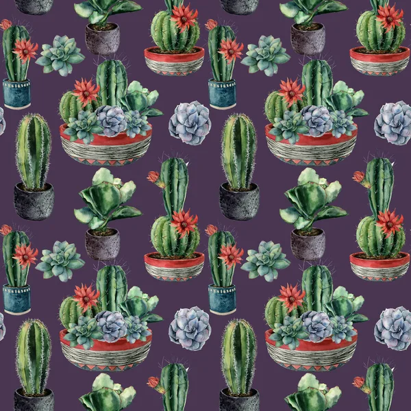 Aquarelle motif sans couture avec cactus. Cereus peints à la main, echeveria, echinocactus grusonii avec succulent vert et bleu isolé sur fond violet. Illustration pour le design, tissu, fond . — Photo
