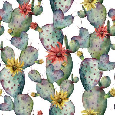Suluboya kaktüsler, sarı ve kırmızı çiçekler sorunsuz patttern. El beyaz arka plan üzerinde izole opuntia boyalı. Gösterim amacıyla tasarım, yazdırma, kumaş veya arka plan.