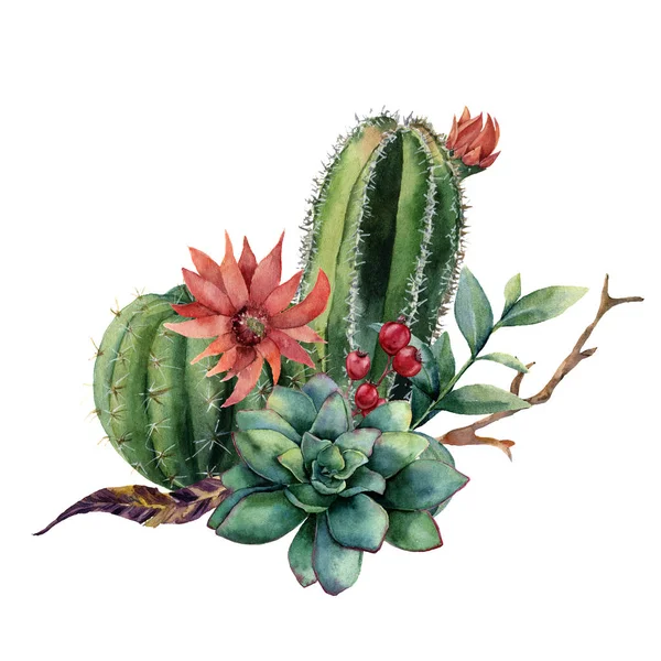 Μπουκέτο με ακουαρέλα κάκτος. Χειροποίητη cereus με κόκκινο λουλούδι, πράσινο χυμώδεις, μούρα και treebranch με τα φύλλα που απομονώνονται σε λευκό φόντο. Εικονογράφηση για το σχεδιασμό, εκτύπωση, το ύφασμα ή το φόντο. — Φωτογραφία Αρχείου
