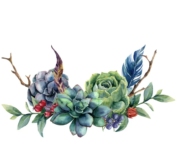 Ramo floral de acuarela con cactus y suculento. Bayas pintadas a mano, enebro, plumas, hojas de eucalipto aisladas sobre fondo blanco. Ilustración para diseño, tela o fondo . —  Fotos de Stock