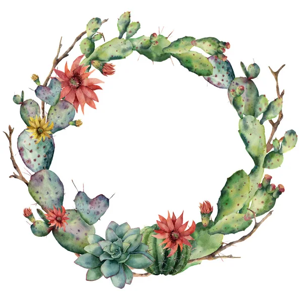 꽃과 succulent 수채화 선인장 화 환입니다. 손으로 그린 꽃 부채, 나무 가지, 흰색 배경에 고립 된 echinocactus grusonii. 디자인, 직물 또는 배경 그림. — 스톡 사진