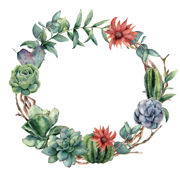 Watercolor cactuses wreath with eucalyptus branch. Hand painted cereus, echeveria, echinocactus grusonii and succulent isolated on white background. Illustration for design, fabric or background. — Stock Photo, Image