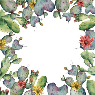 Suluboya çiçekli kaktüsler kartı. Beyaz arka plan üzerinde izole kırmızı ve Sarı çiçekli opuntia el boyalı. Gösterim amacıyla tasarım, yazdırma, kumaş veya arka plan.