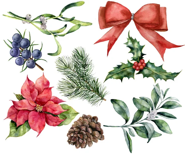 工場で水彩のクリスマスの装飾。手描きの赤いリボン、ポインセチア、ヒイラギ、ヤドリギ、円錐形の松、ジュニパーと snowberry は、白い背景で隔離。設計のための休日植物. — ストック写真