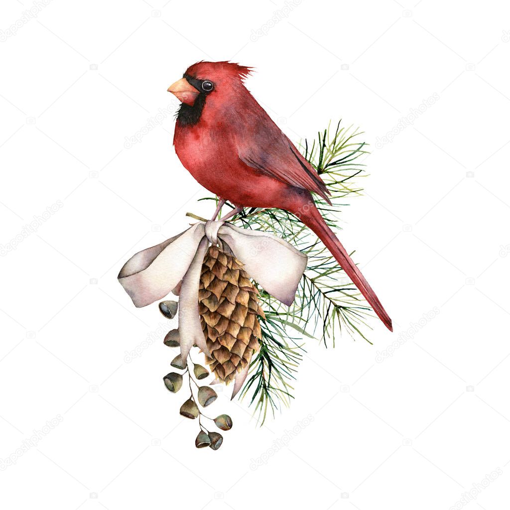 Watercolor Christmas composition with cardinal and bow. Hand painted winter card with bird, fir seeds, cones isolated on white background. Botanical illustration for design, print, fabric, background.