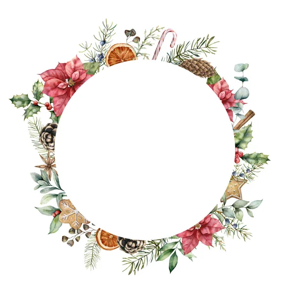 水彩缤纷的圣诞花环,装饰着一品红. 用饼干、圆锥、冬青、枝条和桔子片隔离在白色背景下手绘冷杉花环。 设计或印刷用植物图解. — 图库照片