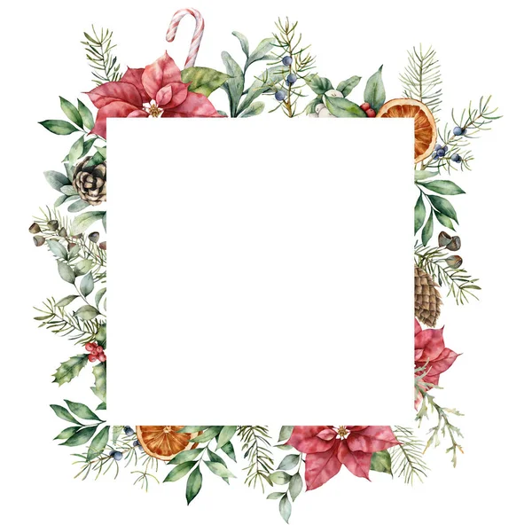 워터 컬러 크리스마스 프레임에는 점착성 디오르가 있다. 하얀 배경에는 나뭇잎, 솔방울, 홀리, 나뭇가지, 오렌지 색으로 된 전나무 카드를 손으로 그렸다. 디자인이나 인쇄를 위한 꽃 삽화. — 스톡 사진