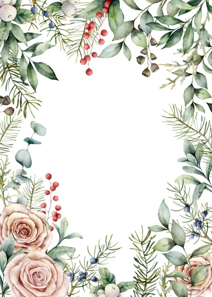 Watercolor Christmas flowers and plants card. Hand painted frame with juniper, fir, eucalyptus and roses isolated on white background. Floral illustration for design, print, fabric or background. — Stock Photo, Image