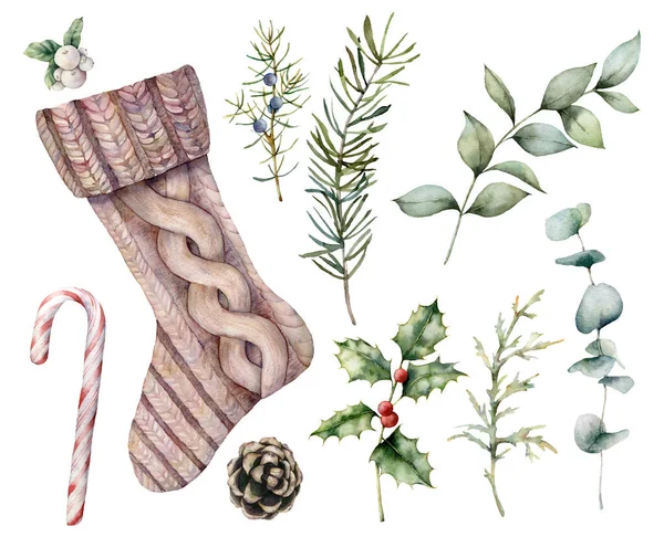 Acuarela Set de Navidad con calcetín. Pintado a mano eucalipto vacaciones y rama de pino, muérdago y acebo aislado sobre fondo blanco. Ilustración de invierno para diseño, impresión, tela o fondo . —  Fotos de Stock