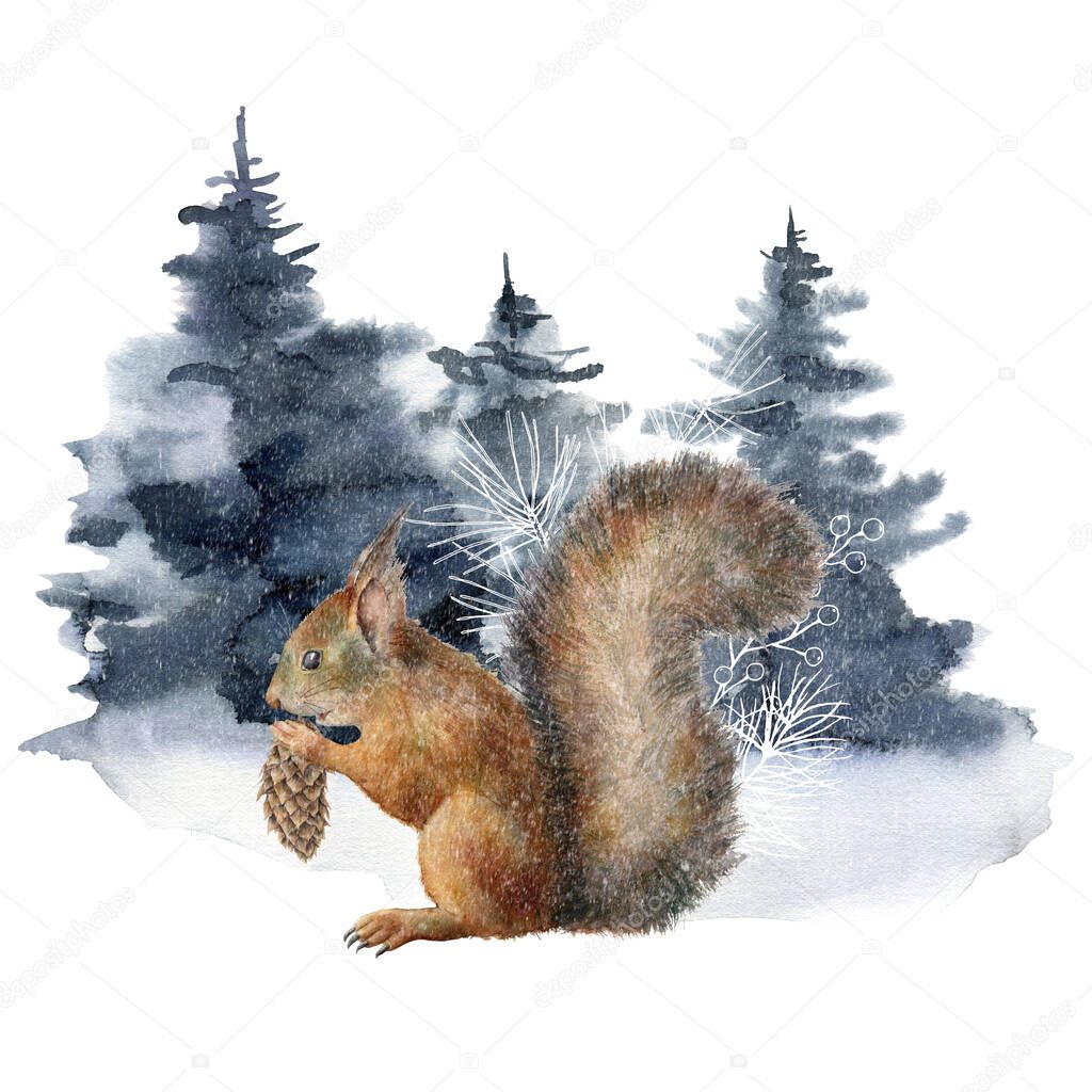 Watercolor Christmas composition with squirrel and winter forest. Hand painted holiday card with fir, animal and cones isolated on white background. Illustration for design, print, fabric, background.