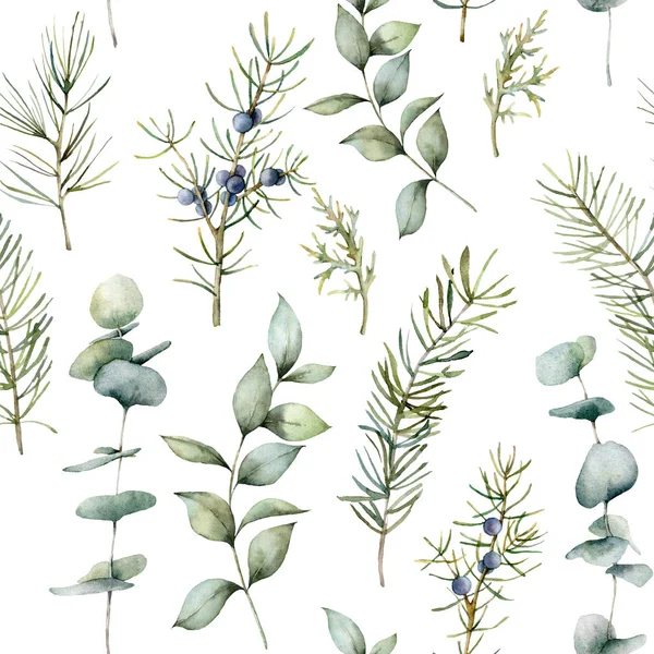 Akvarell jul sömlöst mönster med eukalyptus och tall grenar. Handmålade vinter semester växter isolerade på vit bakgrund. Semesterillustration för design, tryck, tyg eller bakgrund. — Stockfoto