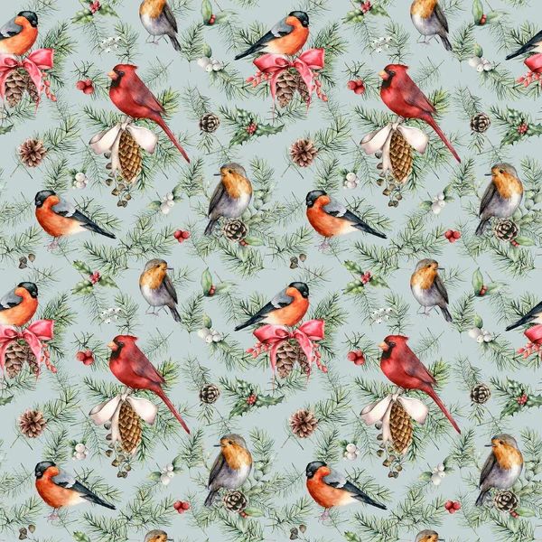 Aquarel Kerst planten en vogels naadloos patroon. Handgeschilderd kardinaal, roodborstje, bullfinch en dennennaalden geïsoleerd op blauwe achtergrond. Illustratie voor ontwerp, bedrukking, stof of achtergrond. — Stockfoto