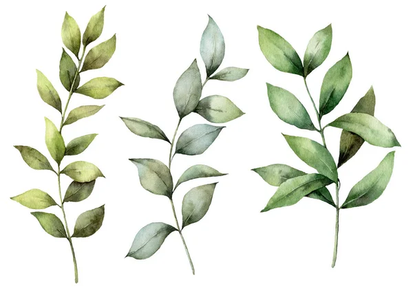 Wiosenne gałązki akwareli ustawione na Wielkanoc. Ręcznie malowane eukaliptusowe grube gałęzie i liście odizolowane na białym tle. Ilustracja kwiatowa do projektowania, druku, tkaniny lub tła. Zestaw botaniczny. — Zdjęcie stockowe