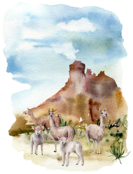 Akvarel fjeder kort med lamaer og lam. Håndmalet grøn eng med græs, kaktus og får isoleret på hvid baggrund. Dyreillustration til design, print, stof eller baggrund . - Stock-foto