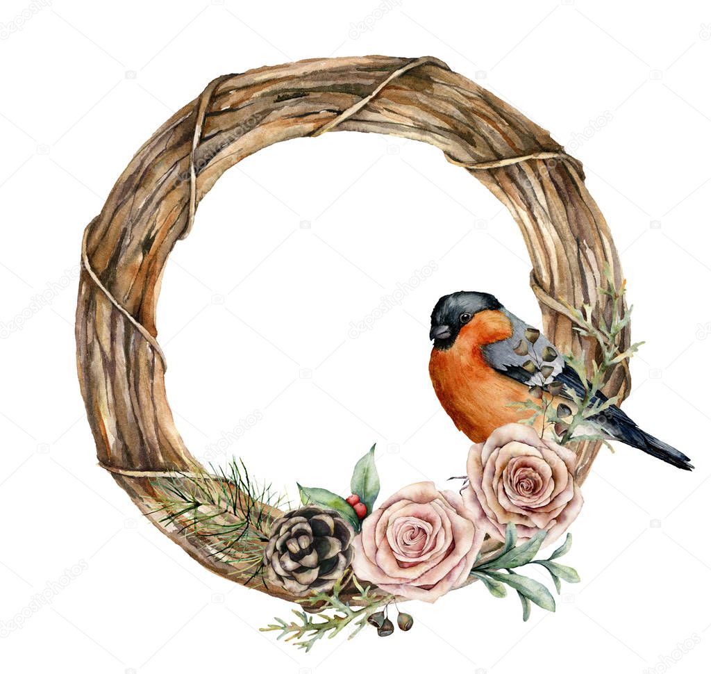 Watercolor Christmas wreath with bullfinch and roses. Hand painted eucalyptus leaves, pine cones, berries, fir branches isolated on white background. Holiday symbol for design, print or background.