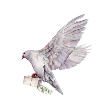 Beyaz güvercin ve hediye kutusu olan suluboya kart. Beyaz arka planda el boyalı güvercin kuşu. Tasarım, baskı, kumaş veya arkaplan için Paskalya illüstrasyonu. Bahar kuşu.