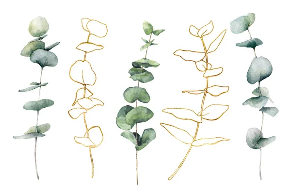 Akvarell set med gyllene eukalyptus. Handmålade linje konst grenar och blad isolerade på vit bakgrund. Blommig illustration för design, tryck, tyg eller bakgrund. Botaniskt set. — Stockfoto