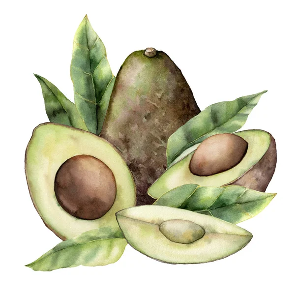 Tarjeta acuarela de verano con aguacate, hojas y rebanada. Frutos tropicales pintados a mano y hojas aisladas sobre fondo blanco. Ilustración floral elegante para diseño, impresión, tela o fondo . — Foto de Stock