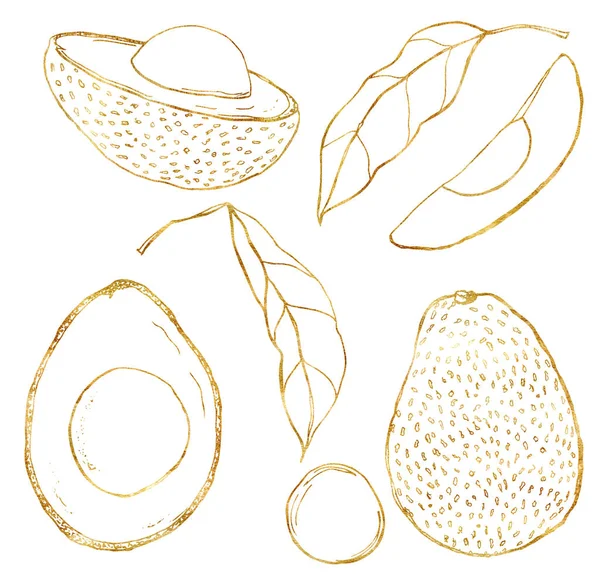 Akvarell tropiskt set med gyllene avokado, blad och skiva. Handmålade linje konst frukt och blad isolerad på vit bakgrund. Blommig elegant illustration för design, tryck, tyg eller bakgrund. — Stockfoto