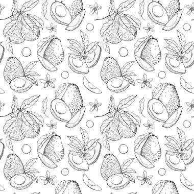 Avokado, yapraklar ve çiçeklerle suluboya, dikişsiz desen. El boyası sanat eseri meyveleri ve tohumlar beyaz arka planda izole edilmiş. Tasarım, baskı, kumaş veya arkaplan için çiçek çizimi.