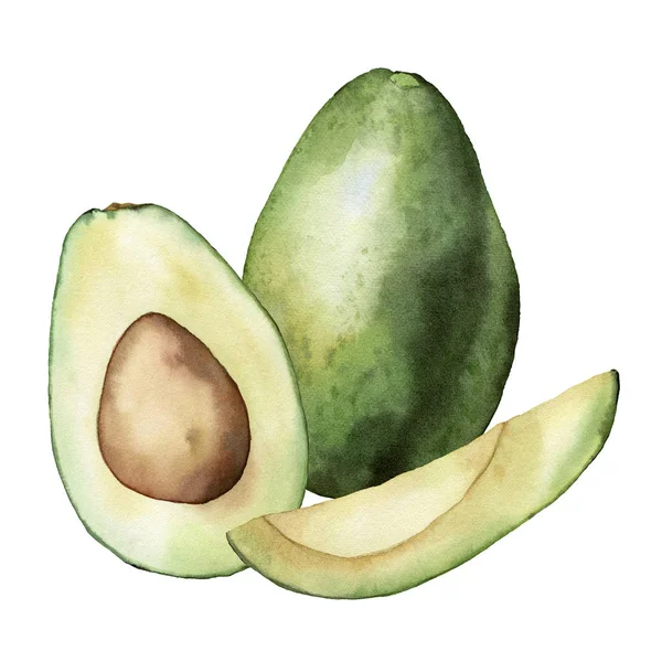 Akvarell sommarkort med grön avokado och skivor. Handmålade tropiska frukter sammansättning isolerad på vit bakgrund. Blommig elegant illustration för design, tryck, tyg eller bakgrund. — Stockfoto