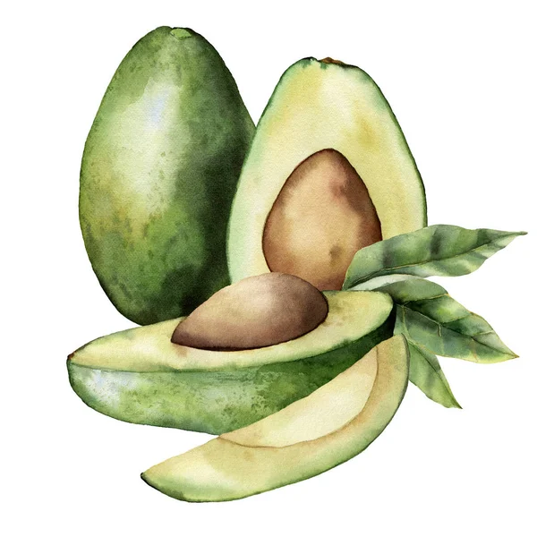 Tarjeta acuarela de verano con aguacate verde, hojas, semillas y rodajas. Composición de frutas tropicales pintadas a mano aisladas sobre fondo blanco. Ilustración floral para diseño, impresión, tela o fondo . — Foto de Stock