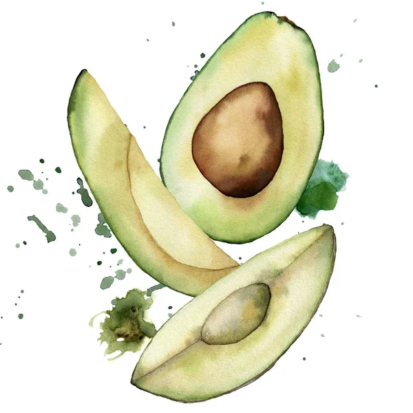 Akvarell sommarkort med grön avokado, frön, skivor och fläckar. Handmålade tropiska frukter sammansättning isolerad på vit bakgrund. Blommig illustration för design, tryck, tyg eller bakgrund. — Stockfoto