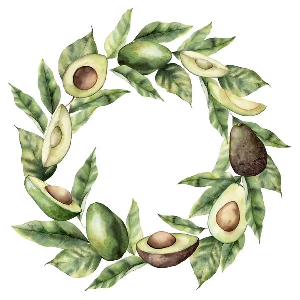 Ghirlanda estiva ad acquerello con avocado, fette e foglie. Scheda dipinta a mano con frutti tropicali isolati su sfondo bianco. Illustrazione floreale elegante per design, stampa, tessuto o sfondo . — Foto Stock