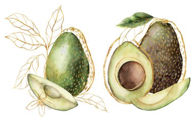 Doğrusal avokado ve yapraklarla suluboya altın kompozisyon. Beyaz arka planda izole edilmiş el yapımı tropik meyve kartı. Tasarım, baskı, kumaş veya arkaplan için çiçek çizimi.