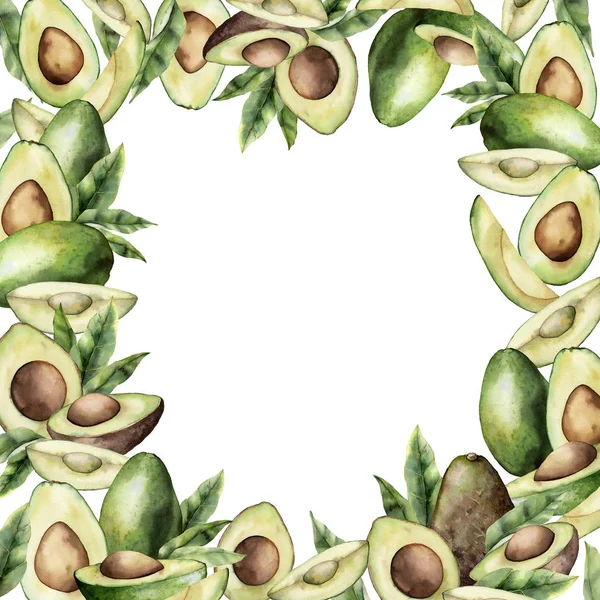 Cornice estiva ad acquerello con avocado, foglie e fette. Scheda dipinta a mano con frutti tropicali isolati su sfondo bianco. Illustrazione floreale elegante per design, stampa, tessuto o sfondo . — Foto Stock