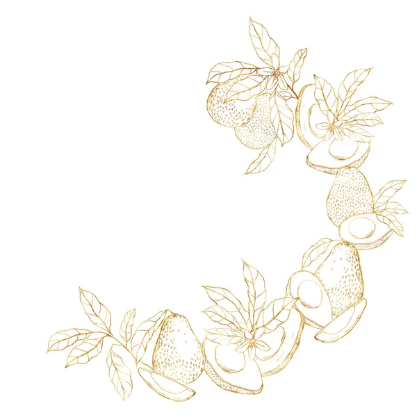 Akvarell arany koszorú lineáris avokádóval és levelekkel. Kézzel festett trópusi gyümölcsök összetétele elszigetelt fehér alapon. Virágillusztráció tervezés, nyomtatás, szövet vagy háttér számára. — Stock Fotó