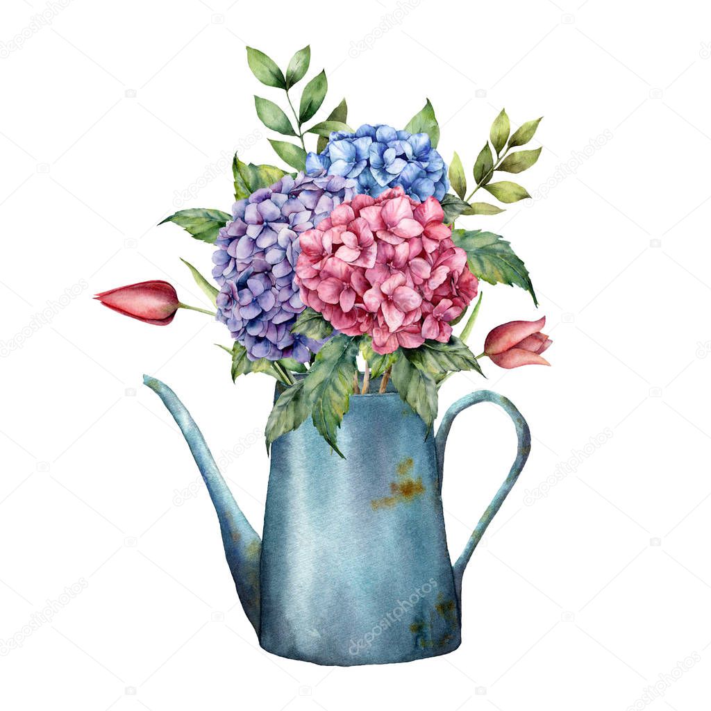 Watercolor watering can with spring flowers. Hand painted tulips, hydrangea, eucalyptus leaves and branches isolated on white background. Floral gardening illustration for print, design.