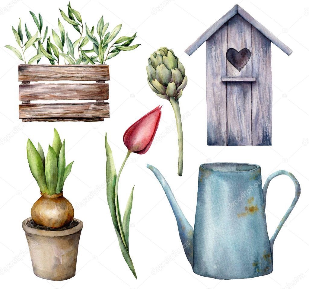 Watercolor gardening set. Hand painted birdhouse, watering can, hyacinth in a pot, artichoke and tulip isolated on a white background. Holiday illustration for design, print, fabric or background.
